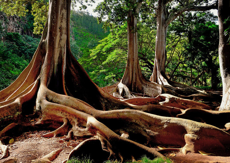 How to Get Off the Beaten Path on Kauai